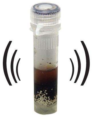 Cambridge Bioscience Dna From Fungi Bacteria Quick Dna