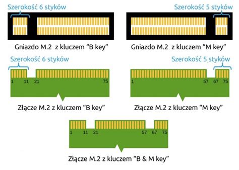 Budowa I Zasada Działania Dysku Ssd M2 Nvme Jaki Dysk Wybrać Do Hot Sex Picture