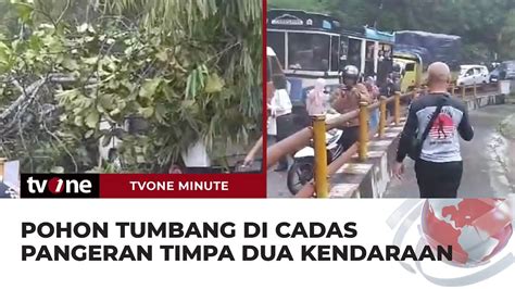 Pohon Tumbang Di Cadas Pangeran Arus Lalu Lintas Alami Kemacetan