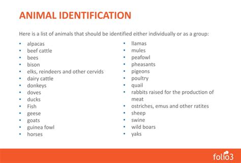 Livestock Identification And Traceability System Beef Sheep Goat