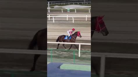 カルネドボヤージュ＠ホッカイドウ競馬9r返し馬20221027 競馬動画まとめ