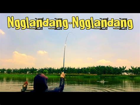 SEUMUR UMUR MANCING DISINI BARU KALI INI DAPAT IKAN INI YouTube