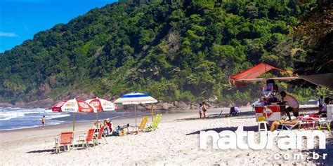 Praia De Camburi E Camburizinho Guia Completo Naturam