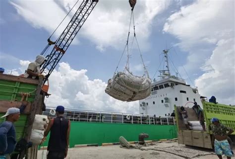 Nunukan Penghasil Rumput Laut Terbesar Di Indonesia Radar Tarakan