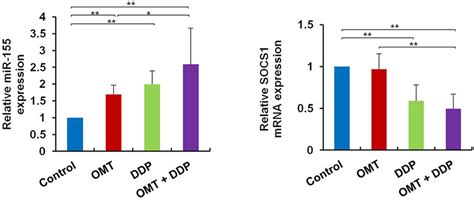 OMT And DDP Synergistically Upregulate MiR 155 And Downregulate SOCS1