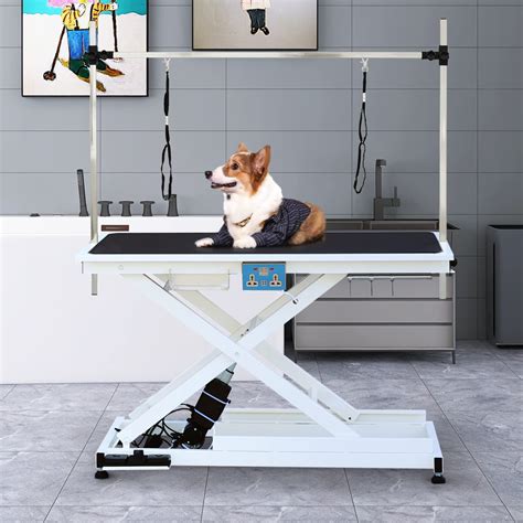 Cityle Electric Pet Grooming Table Foldable Heavy Duty Foldable Pet