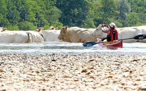 Et Si Vous Partiez En Vacances En Kayak De Mer Le T L Gramme