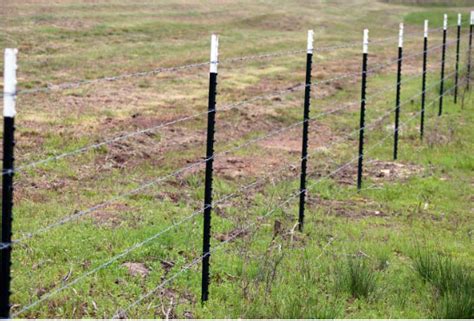 Step By Step How To Install Barbed Fence Wire With T Posts