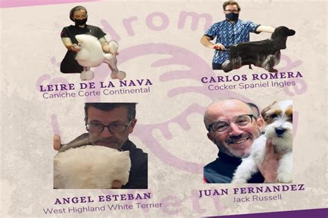 Seminarios De Peluquer A Canina En Beneficio De La Aesr Asturias