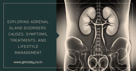 Managing Adrenal Gland Disorders Causes Symptoms And Lifestyle Gk Today