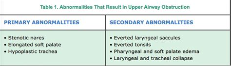 Brachycephalic Airway Syndrome The Stafford Knot