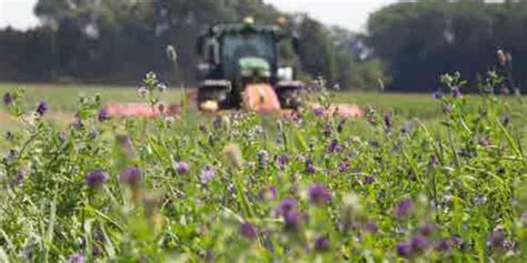 Déterminer sa date de récolte optimale WikiAgri Actualité agricole