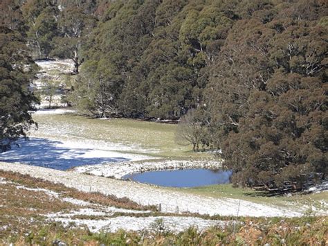 Elevation of Black Springs NSW, Australia - Topographic Map - Altitude Map