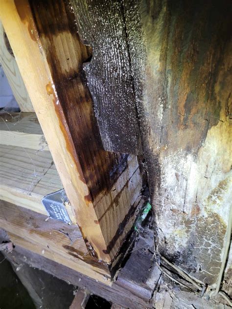 Window AC has been leaking through porch cellar door into basement