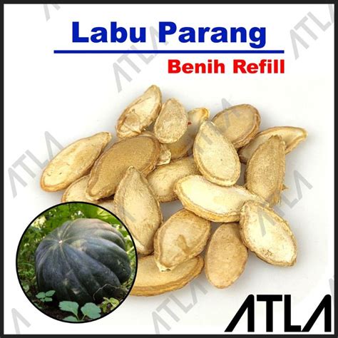 Jual Benih Labu Parang REPACK Bibit Tanaman Biji Buah Pumpkin Waluh