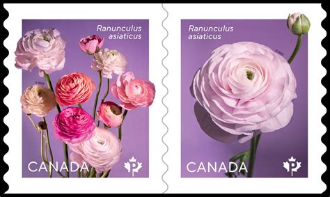 Buy Canada #3374iii - Ranunculus (2023) 2 x P (92¢) - Se-tenant pair ...