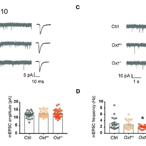 Dynamic Regulation Of Excitatory Synaptic Transmission By Oxytocin