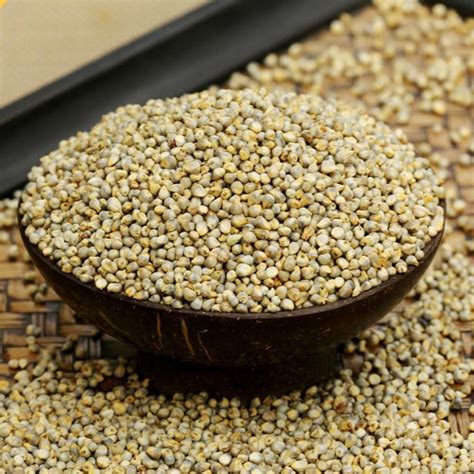 Buy Naati Pearl Millet Sajje Sajjalu Kambu Bajra Kambam