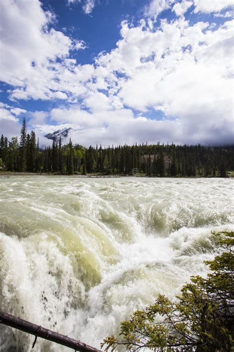 Summer In Athabasca Falls Jasper National Park Canada Stock Photo