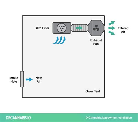 Grow Tent Ventilation Setup & Exhaust Guide | DRCANNABIS.IO