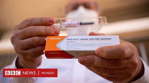 Vacuna Contra El Coronavirus Brasil Interrumpe Las Pruebas De La