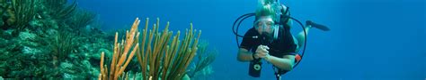 Curso De Flutuabilidade Sdi Advanced Buoyancy Diver Scuba Point