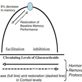 4 The NMDA Receptor Channel Can Open Only During Depolarization Of The