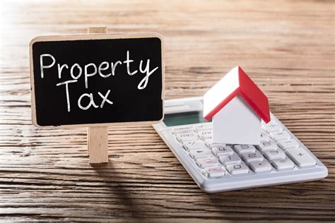 5 Common Real Estate Property Tax Mistakes Ad Valorem Tax