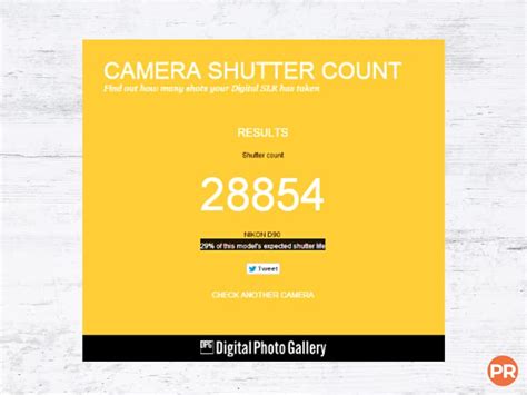 How To Check Your Cameras Shutter Count Portraits Refined