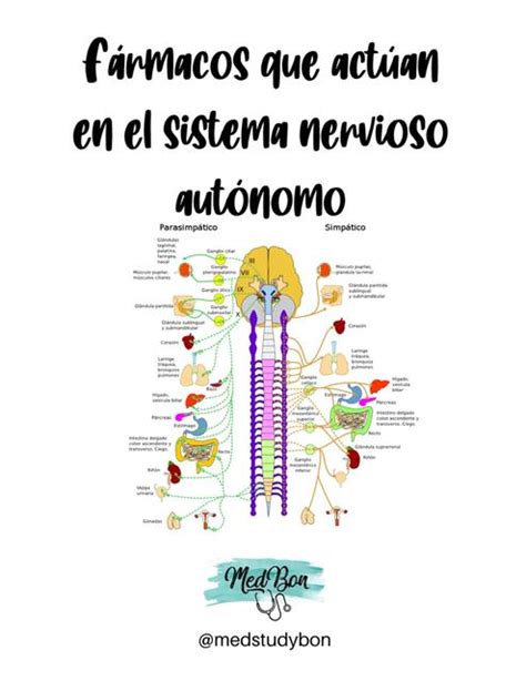 Farmacología del sistema nervioso autónomo MedBon uDocz