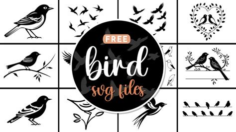 Free Frame Svg Files World Of Printables