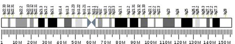 Non Pou Domain Containing Octamer Binding Protein Wikipedia