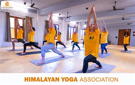 Best 200 Hour Yoga Teacher Training In Rishikesh Duration Fees Of 200 Hour Yoga Teacher Training