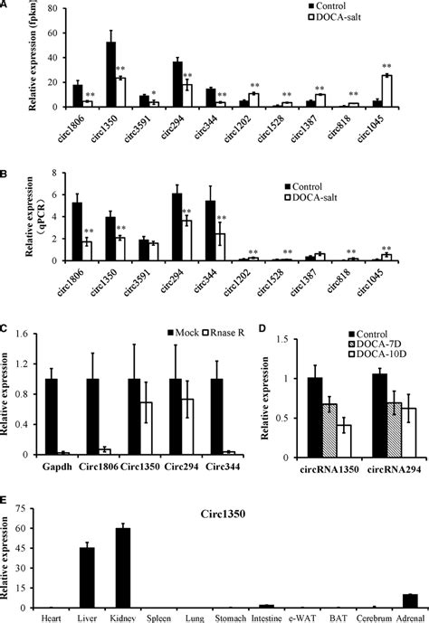 Validation Of Differentially Expressed Circrnas By Qpcr A Ten