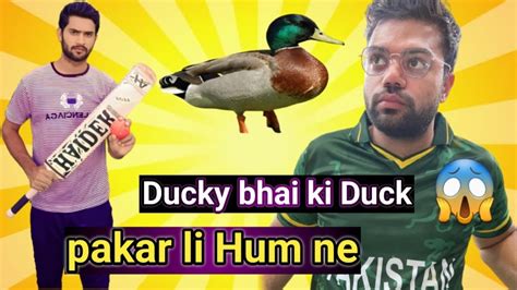 Ducky Bhai Ki Duck Hattay Char Gai Hmare Youtube