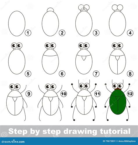 Collection Pictures How To Draw A Bug Step By Step Latest