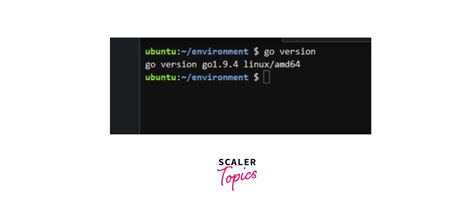 Install Golang On Win Macos And Linux Scaler Topics