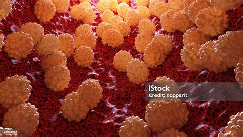 Chlamydia Bacteria Stock Photo - Download Image Now - Bacterium ...