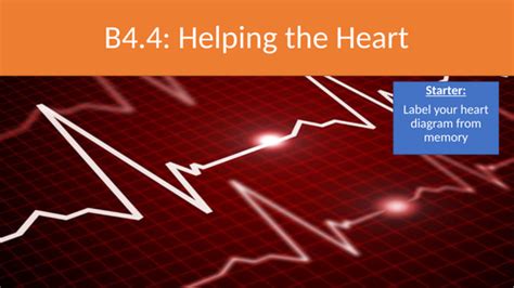 Aqa New 9 1 B4 Helping The Heart Teaching Resources