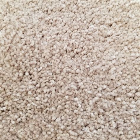 Rent the Carpet Beige Installed Per Square Foot | CORT Party Rental