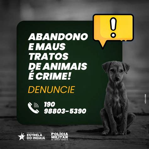 ABANDONO E MAUS TRATOS DE ANIMAIS É CRIME Notícia Prefeitura