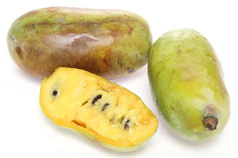 What Are Pawpaws Discover The Tropical Fruit Growing Wild In Indiana