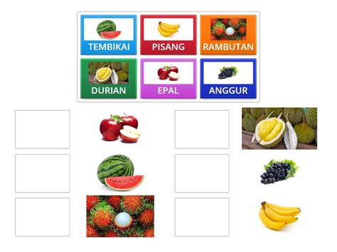 mengenal buah buahan match