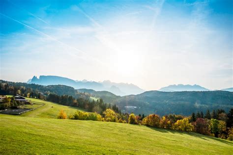 Autunno Tutti In Vigna Apre Rebe Il Nuovo Sentiero Del Vino Tra