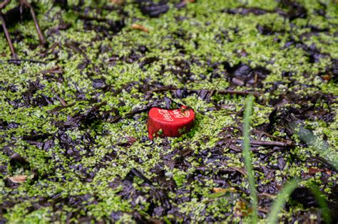 An old Coke with lime bottlecap. : r/pics