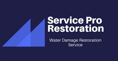 Service Pro Restoration 834 W Meeting St Lancaster SC 29720 About Me