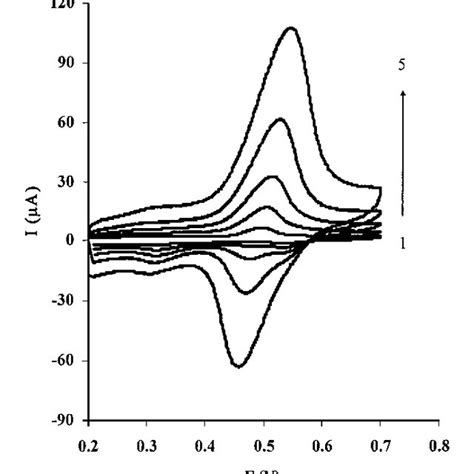 Cyclic Voltammograms Of 1 Phosphate Buffer Solution Ph 6 And 2 Download Scientific