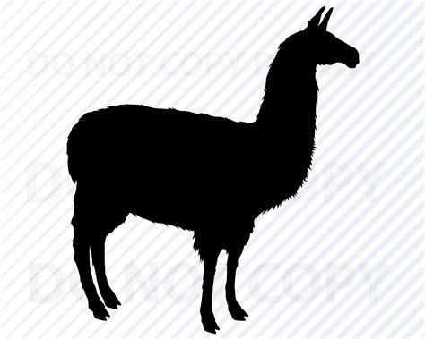 Llama SVG Files Clipart Llama Clip Art Llama Silhouette Etsy