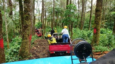 Serunya Jelajah Hutan Pinus Di Batang Naik Mobil Off Road Jajal