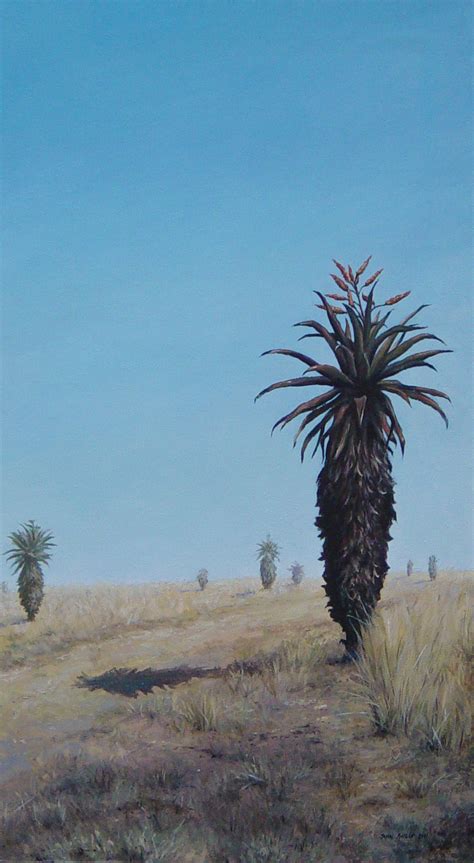 Roadside Aloes John Philip